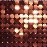 Sequin-G04